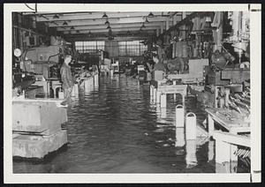 Floods Mass 55