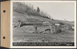 Contract No. 62, Clearing Lower Middle and East Branches, Quabbin Reservoir, Ware, New Salem, Petersham and Hardwick, tree stumps near site of Church Cemetery, Enfield and Ware, Mass., Mar. 29, 1939