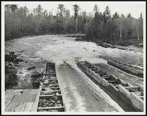 Down the sluiceways (below) the 12-foot logs are whipped in a churning caldron of white water. The timber from the properties of the Brown Company of Berlin, N.H., will be used in experimental veneer projects.