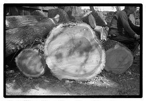 A pile of wood