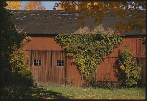 Partial view of side of a red barn