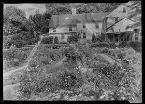 Betty Mather's garden, east toward house