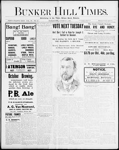 Bunker Hill Times, November 03, 1894
