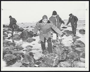 Shore Is Slippery But Safe - Rocks at the shoreline were covered with ice as crewmen (left) walked in after breeches buoy lift. Here, Capt. Gaetano Traini comes ashore with Coast Guards and news cameraman at left.