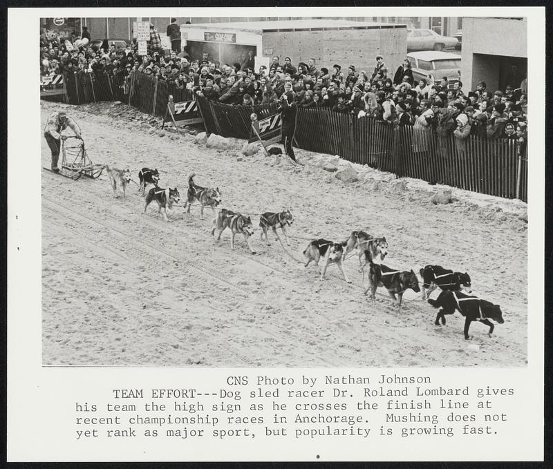 Team Effort Dog sled racer Dr. Roland Lombard gives his team the