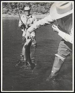 Ten-Pound Rainbow Trout are common in most water of the magnificent lake region of Argentina and Chile.