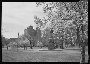 Boston Public Garden in spring