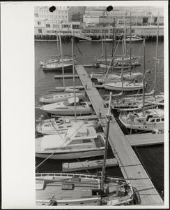 Marina, Boston Harbor