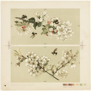 Cherry blossoms and bees / Apple-blossoms and bees