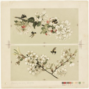 Apple-blossoms and bees / Cherry blossoms and bees