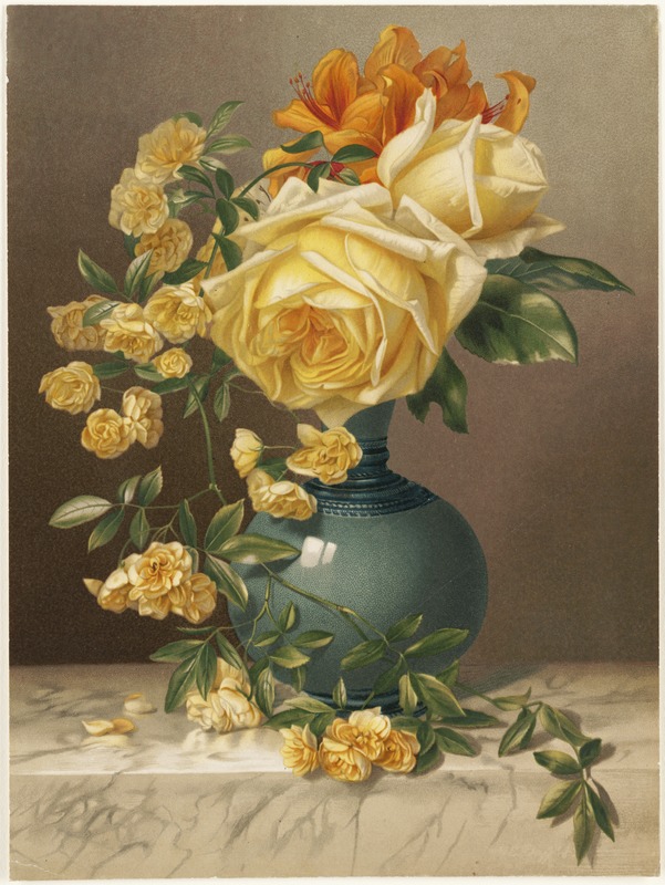 Marchal niel roses