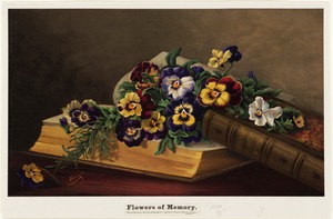 Flowers of memory