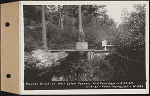 Beaver Brook at Pepper's mill pond dam, Ware, Mass., 8:50 AM, May 19, 1936