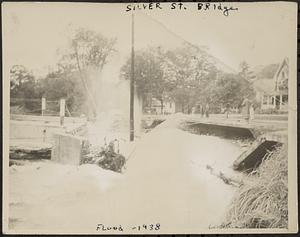 Silver St. Bridge, E. Lee