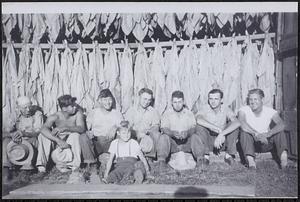 Men and a boy in front of a line of drying field tobacco