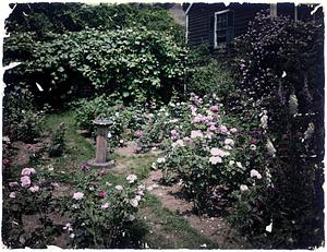 Rose garden with sundial