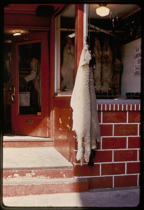 Abruzzese Meat Market, 94 Salem Street, Boston