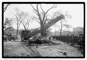 Tree removal
