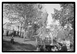 Tree removal