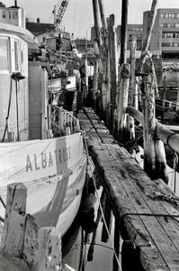 Albatross Bang Shipyard, East Boston