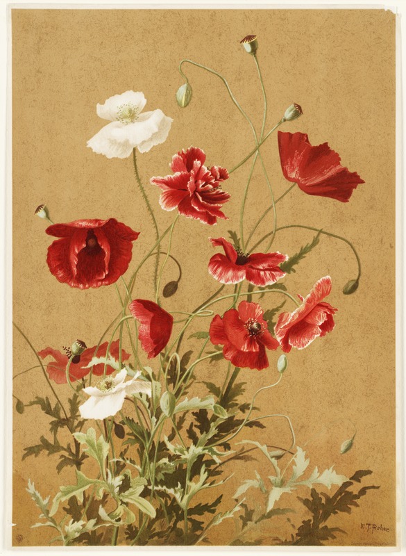 Poppies no. 3