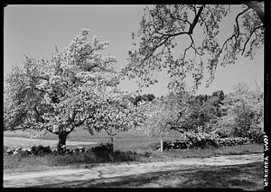 House through field and trees