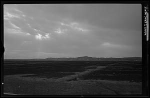 Lynn, beach scene