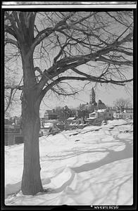 Abbot Hall Vista in Winter