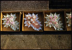 Row of boxes containing flower crosses