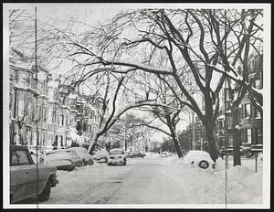 Study In Black And White - The storm made a winter painting of Marlboro street with leaning trees stretching snow covered limbs in bright sun.