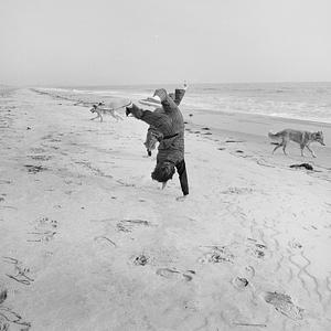 Cherry & Webb Beach, Westport, MA