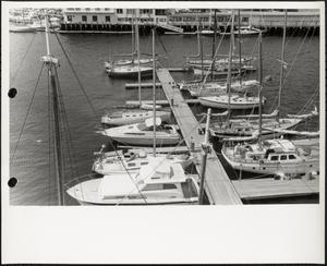 Marina, Boston Harbor