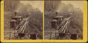 Mt. Washington R.R. trains