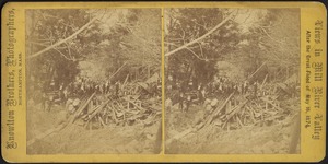 Group of men standing by a pile of timber and debris left by the Mill River Valley flood