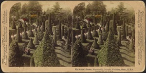 The artist's dream, Hunnewell's grounds, Wellesley, Mass., U.S.A.