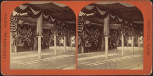 View in Agricultural Hall, decorated by U.S. government, for Centennial Ball