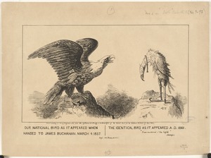 Our national bird as it appeared when handed to James Buchanan, March 4, 1857. The identical bird as it appeared A. D. 1861