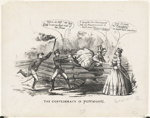 The Confederacy in petticoats