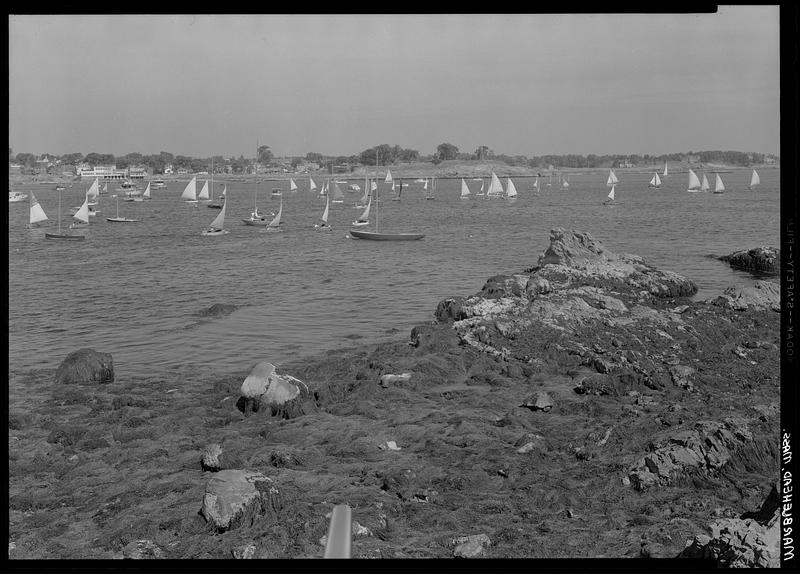 Sailboats from Chandler Hovey Point