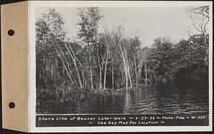 Shore line of Beaver Lake, Ware, Mass., Jun. 23, 1936