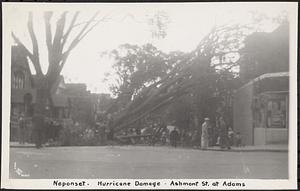 Neponset, hurricane damage, Ashmont St. at Adams