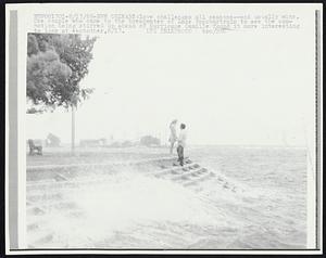 New Orleans: Love challenges all seasons -- and usually wins. One couple who came to the breakwater of Lake Pontchartrain to see the commotion being stirred up ahead of Hurricane Camille found it more interesting to look at each other.