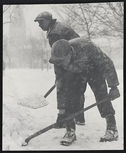 Cambridge Patrick Morgan and James Duggan Shovel off Cambridge Common paths