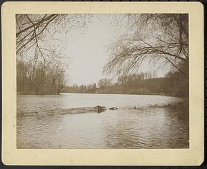 Nashua River view