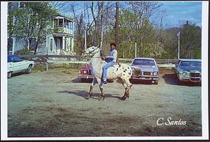 Maurice on his horse