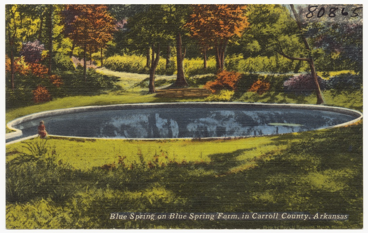 Blue Spring on Blue Spring Farm, in Carroll County, Arkansas Digital