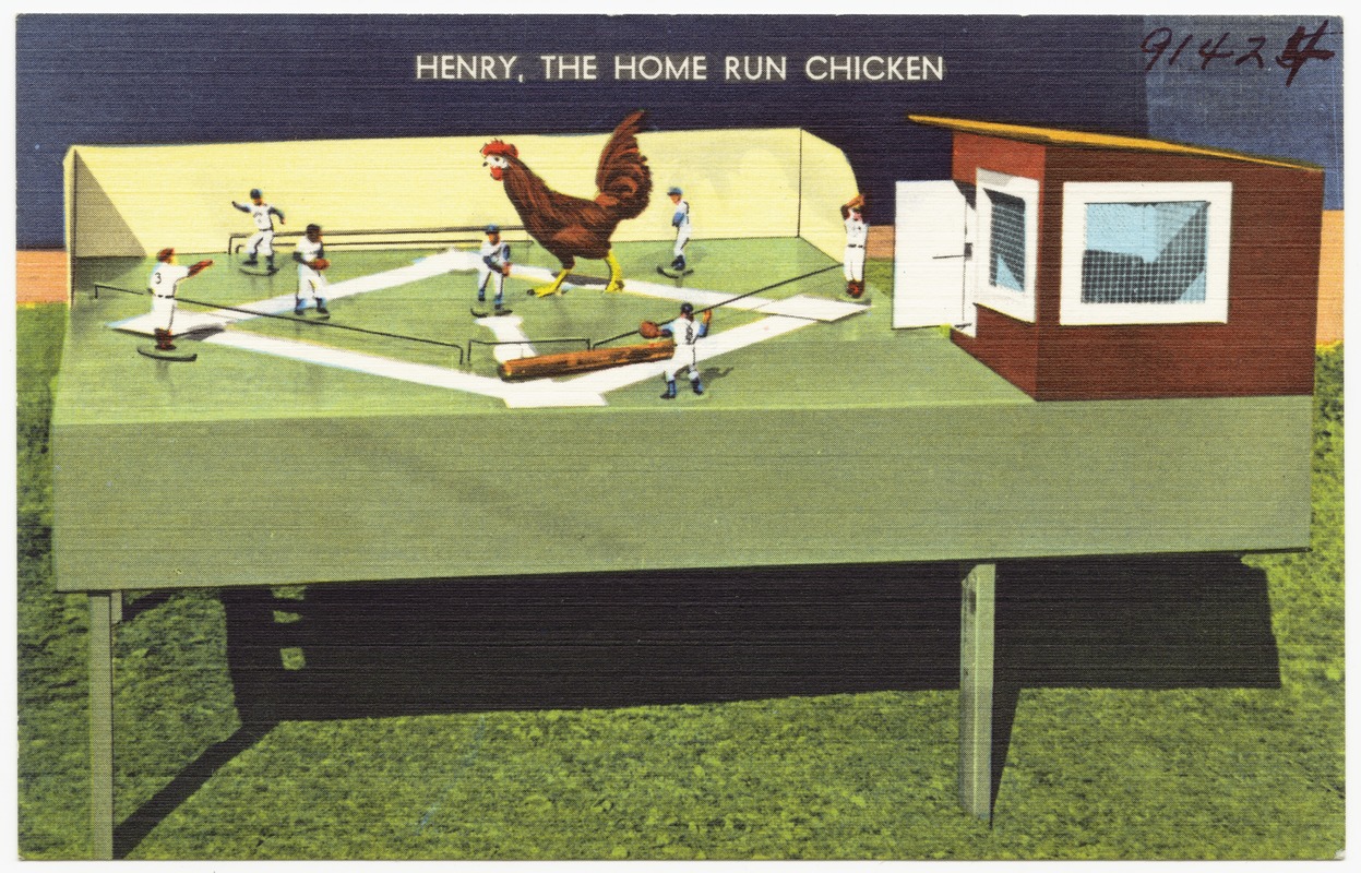 Henry, the home run chicken