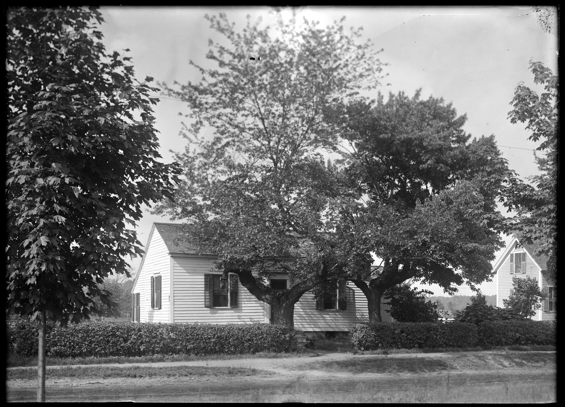 House and crooked maples - Williams Street