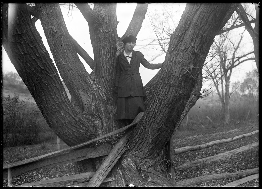 Girl in tree, Miss. R. K. [Kibbe?]