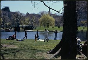 Public Garden/park in the heart of city